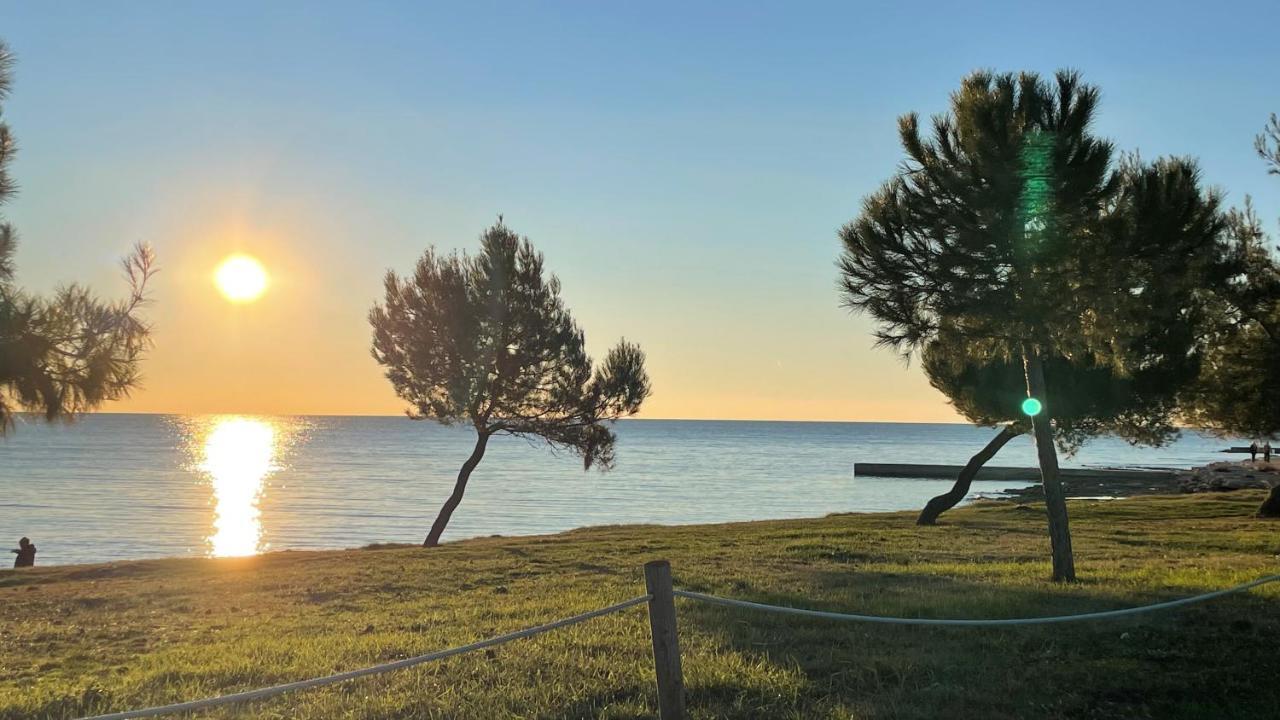 Novigrad Istria Iva Apartments מראה חיצוני תמונה