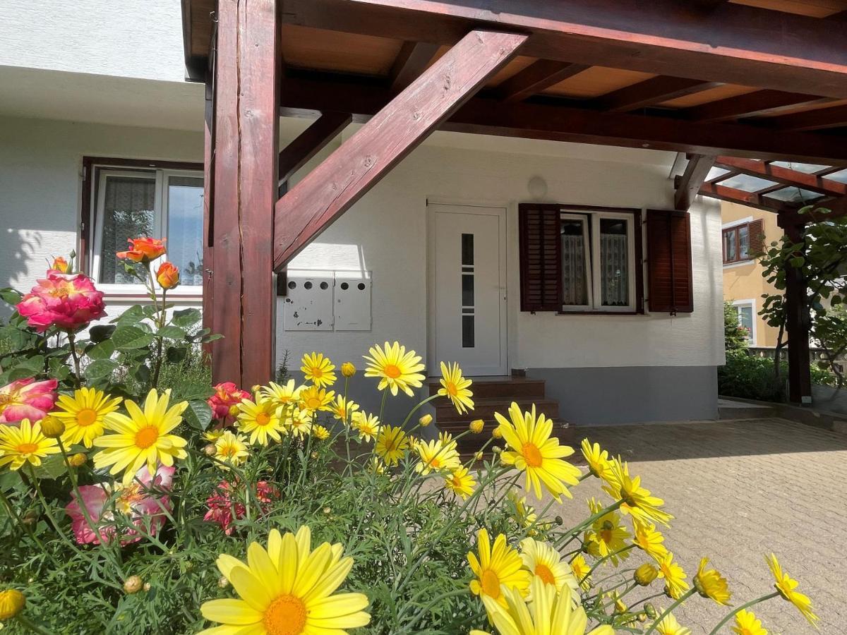 Novigrad Istria Iva Apartments מראה חיצוני תמונה